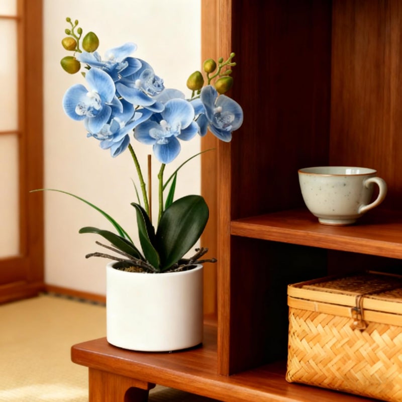 Jusdreen Artificial Blue Orchid in Ceramic Pot, Realistic Phalaenopsis Arrangement with Potting for Home Office Table Decor, 14.5 Inch Flower Centerpiece - Image 4